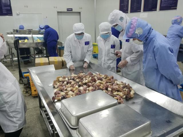 大理野生菌綠色食品深受日本客商鐘愛